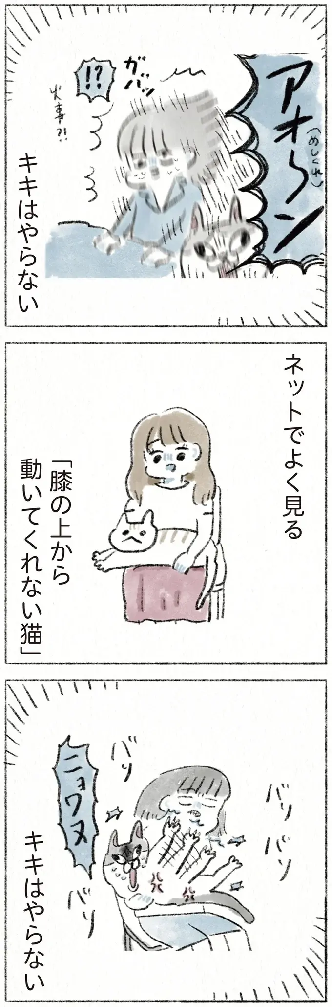 『うちの猫は今日も塩対応』（34）