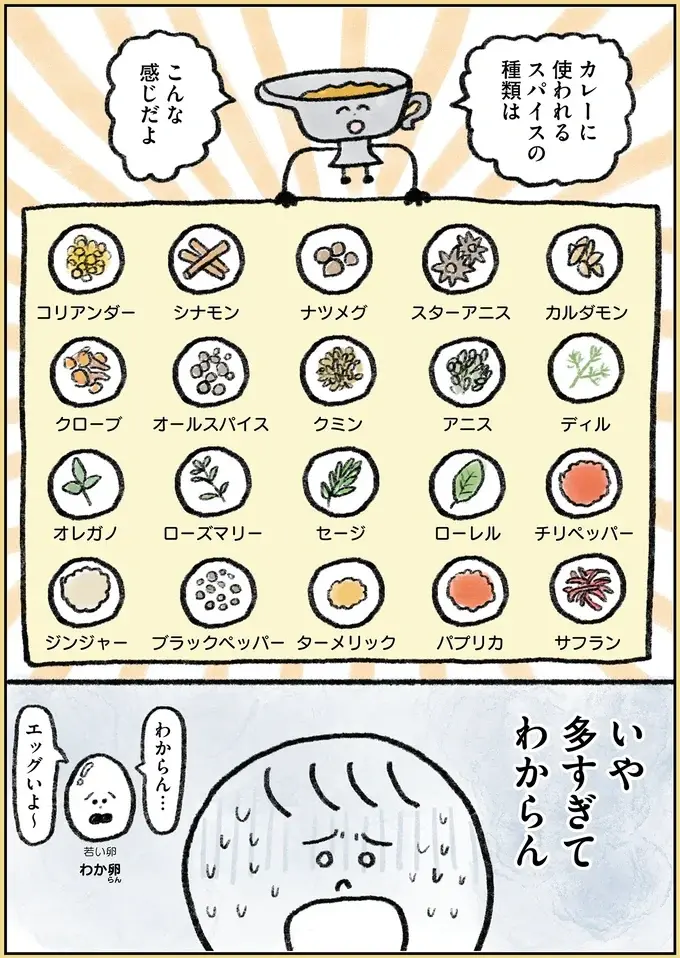 料理が苦手な35歳ひきこもり女性、気分を変えたくてスパイスカレー作りに挑戦／生きるのがしんどい女が「幸せになれそうなこと」をやってみる話（4）