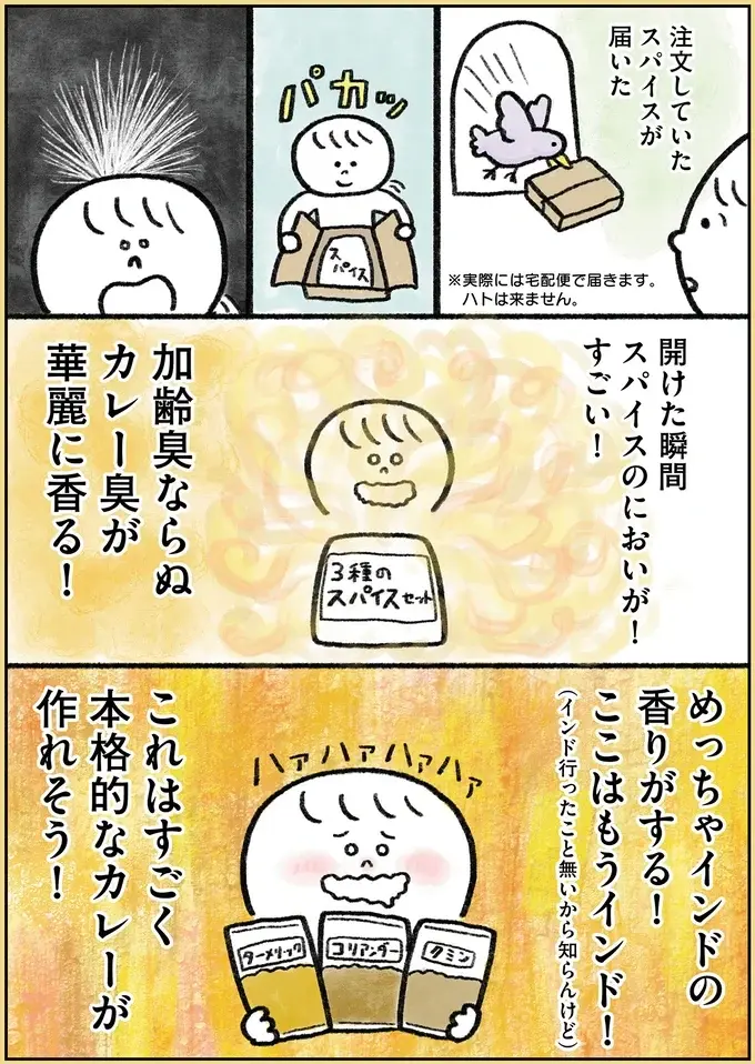 料理が苦手な35歳ひきこもり女性、気分を変えたくてスパイスカレー作りに挑戦／生きるのがしんどい女が「幸せになれそうなこと」をやってみる話（6）
