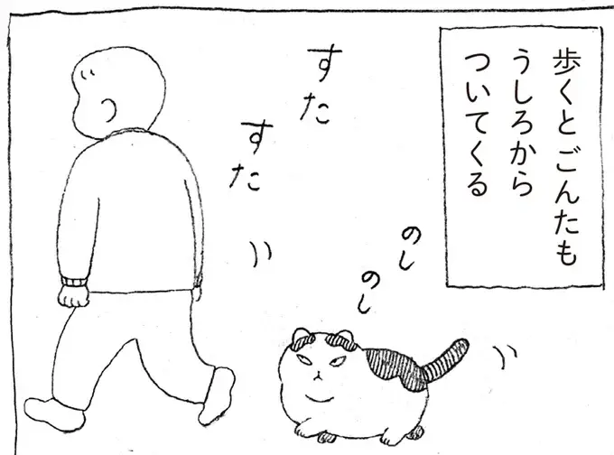 人間好きでくっつきたがる元野良猫。飼い主を追いかけて机の周りをぐるぐる／野良猫ごんた、家猫になる（1）