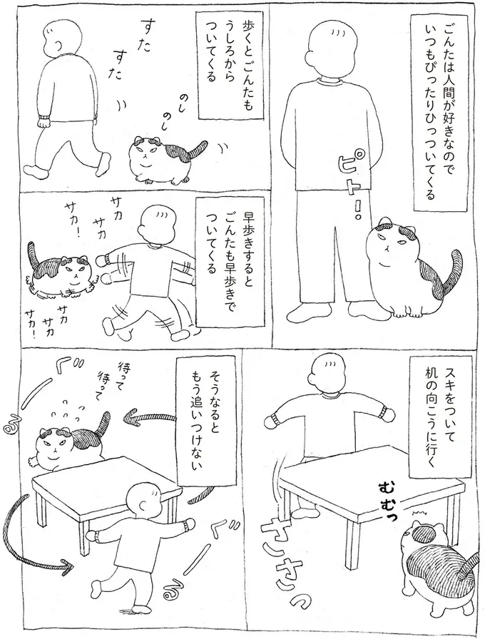 『野良猫ごんた、家猫になる』（画像3/29枚目）