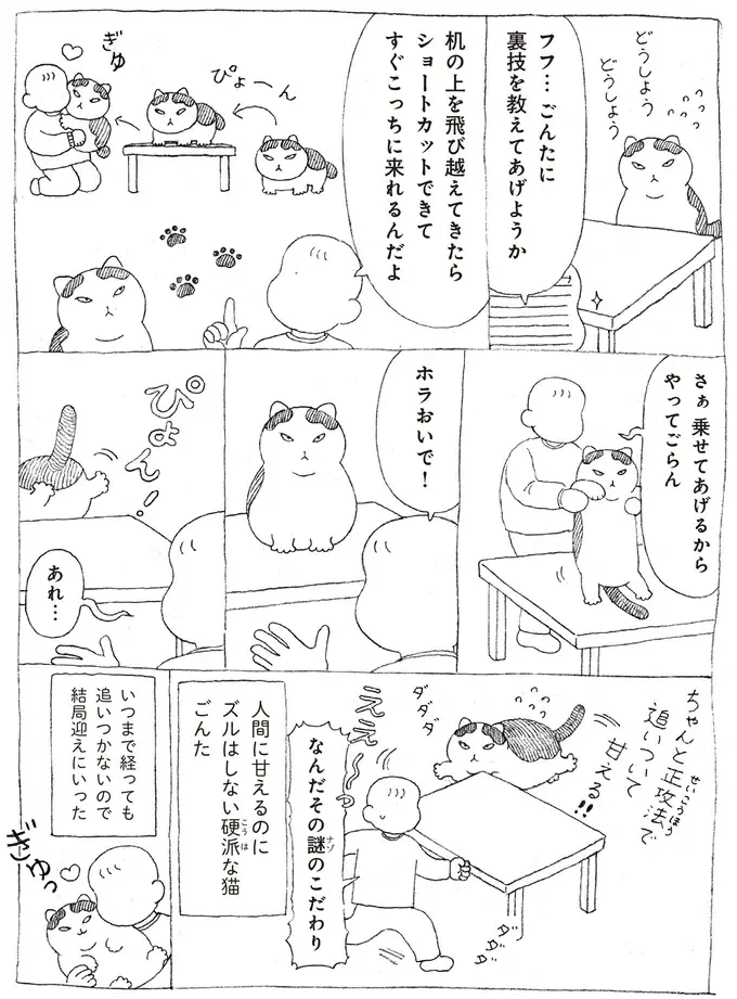 『野良猫ごんた、家猫になる』（画像4/29枚目）