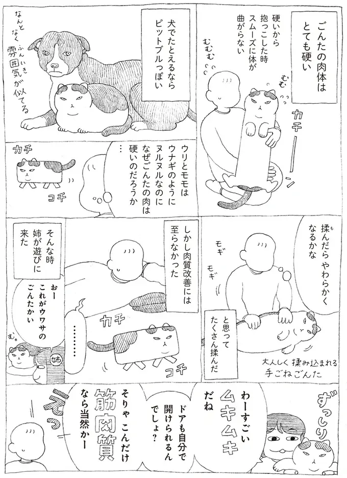 『野良猫ごんた、家猫になる』（画像6/29枚目）