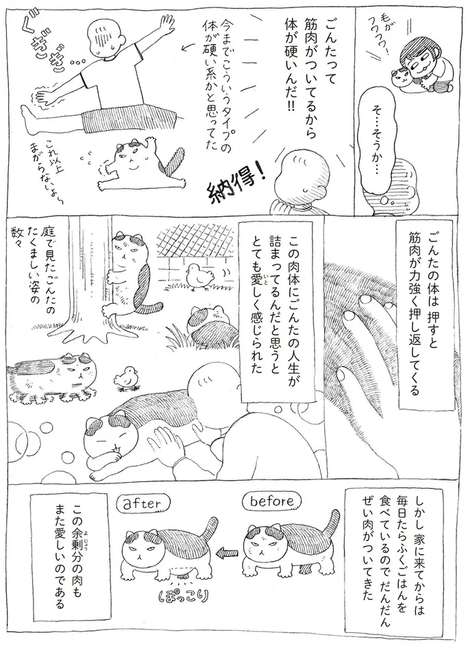 『野良猫ごんた、家猫になる』（画像7/29枚目）