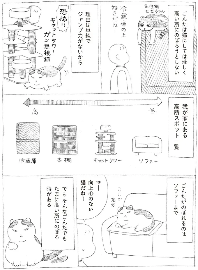 『野良猫ごんた、家猫になる』（画像11/29枚目）