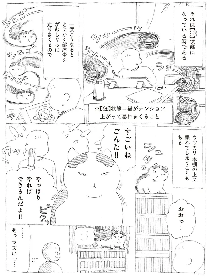 『野良猫ごんた、家猫になる』（画像12/29枚目）