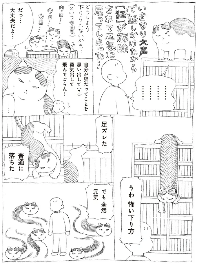 『野良猫ごんた、家猫になる』（画像13/29枚目）