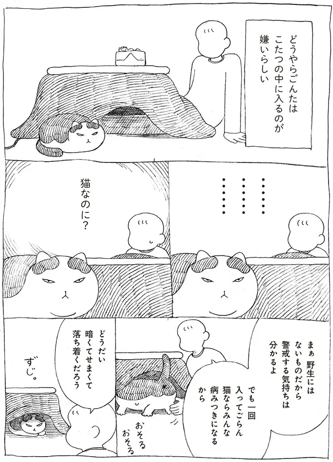 『野良猫ごんた、家猫になる』（画像14/29枚目）