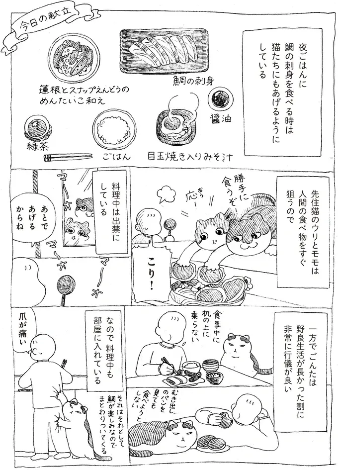 『野良猫ごんた、家猫になる』（画像18/29枚目）