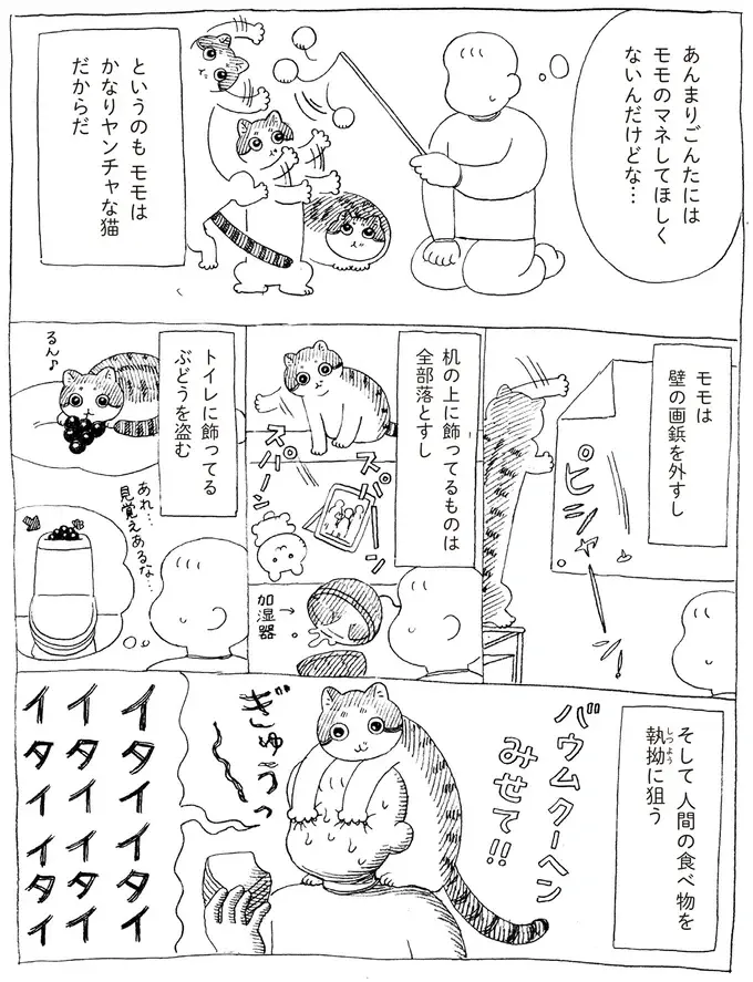 『野良猫ごんた、家猫になる』（画像26/29枚目）