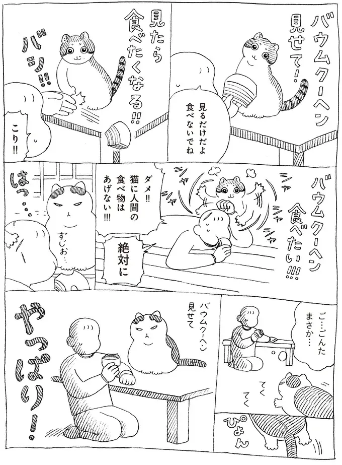 『野良猫ごんた、家猫になる』（画像27/29枚目）