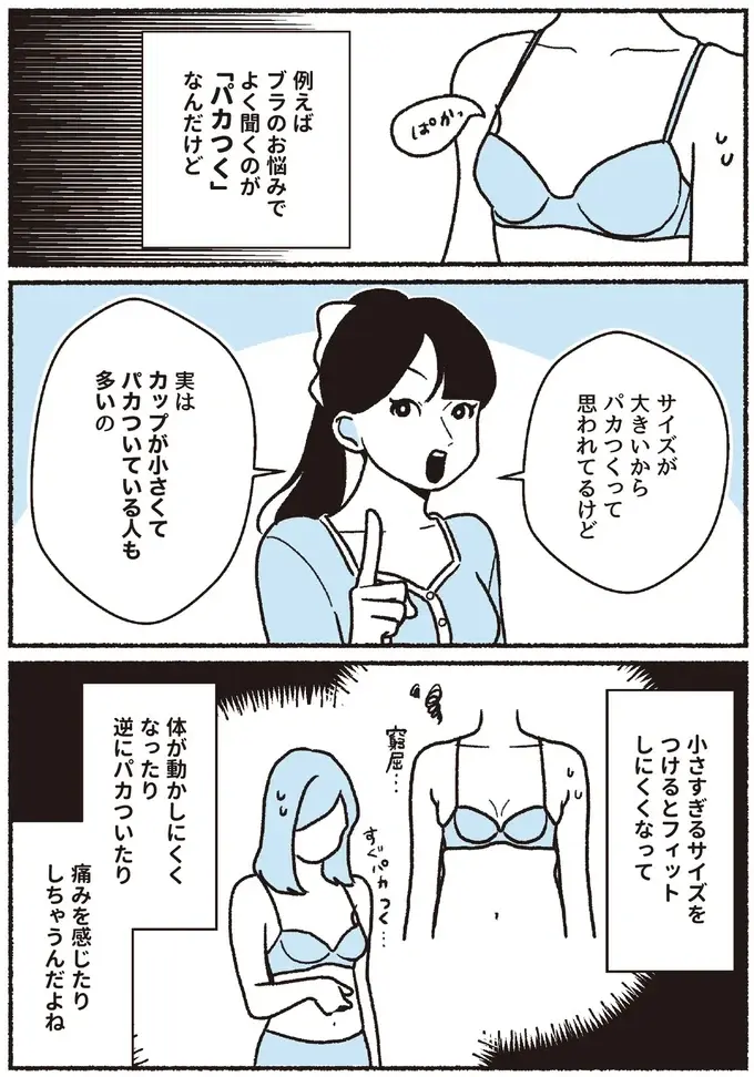 『悪いのはスタイルじゃなくて下着でした 一生モノの下着の教科書』（4）