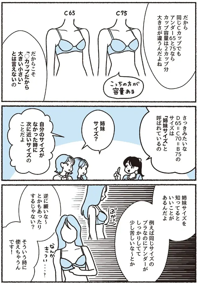 『悪いのはスタイルじゃなくて下着でした 一生モノの下着の教科書』（17）