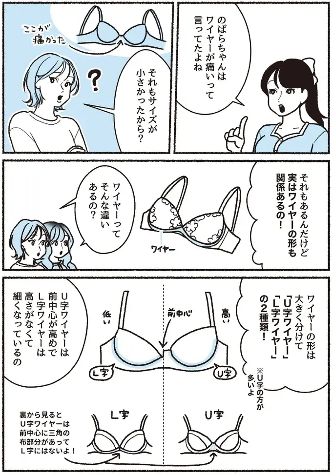 『悪いのはスタイルじゃなくて下着でした 一生モノの下着の教科書』（34）