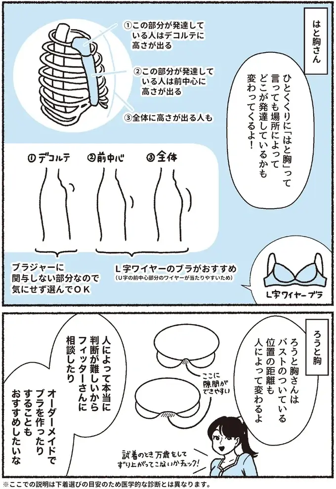 『悪いのはスタイルじゃなくて下着でした 一生モノの下着の教科書』（39）
