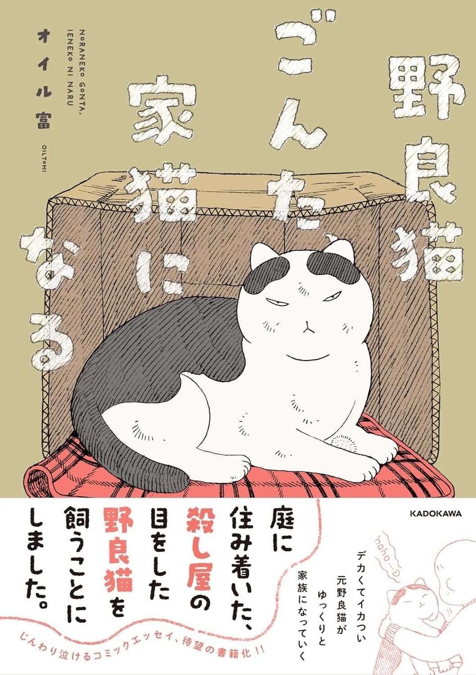 抱っこしてもカチーン！ 元野良猫の「体がかたい」問題が解明!?／野良猫ごんた、家猫になる（5）