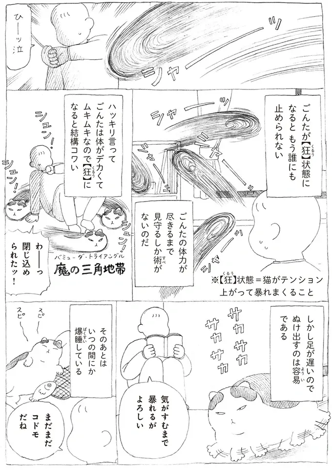 元野良の愛猫。飼い主が猫じゃらしを見せると険しい表情に...⁉／野良猫ごんた、家猫になる（4）