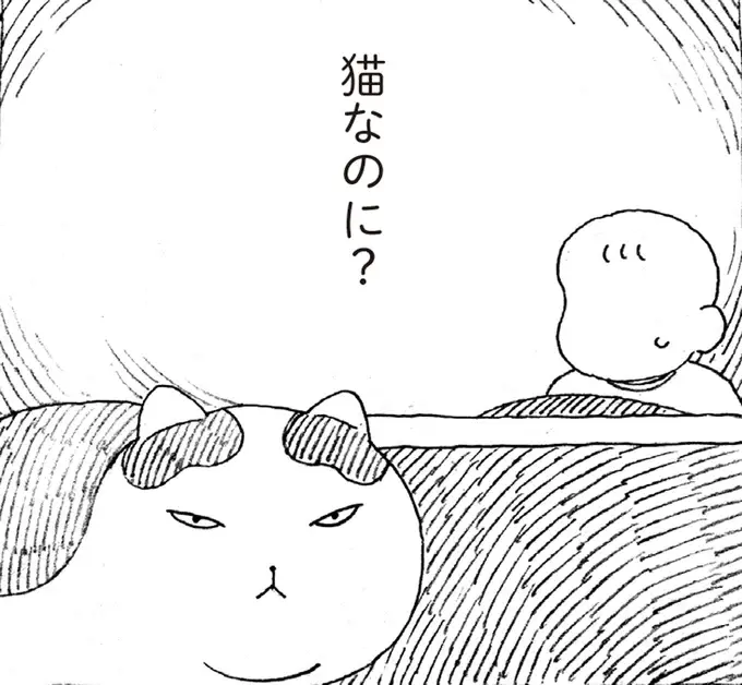 家猫ビギナーだから？ どうしてもこたつの中にいられない元野良猫／野良猫ごんた、家猫になる（1）