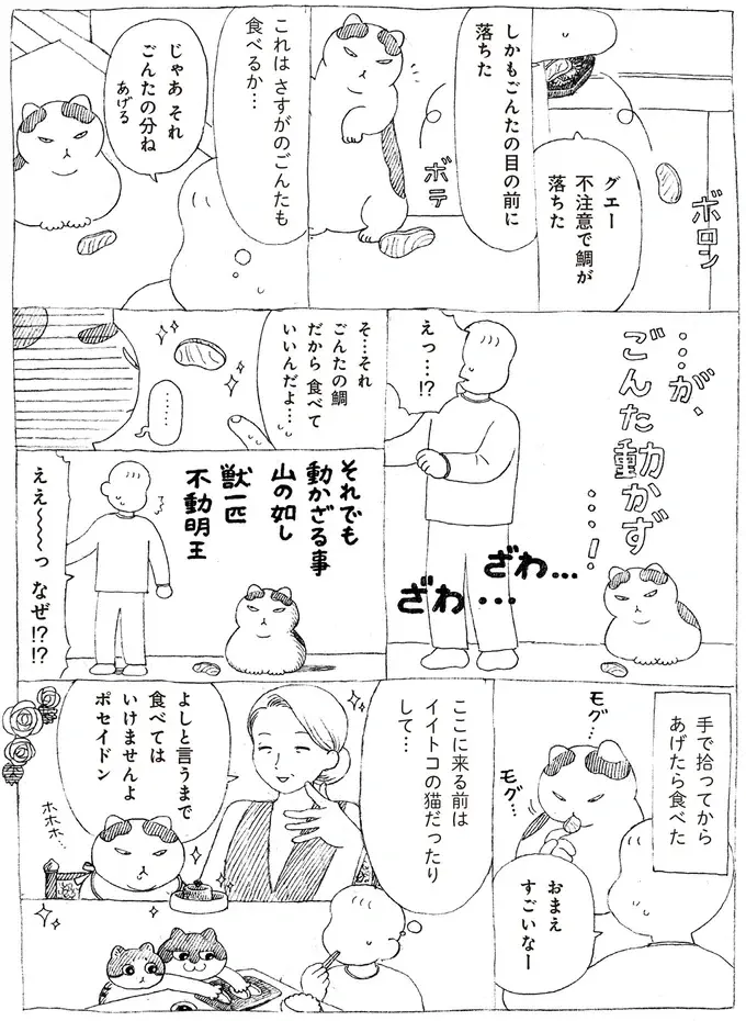 妙に行儀がいい保護猫。ひょっとして前はイイトコの...？／野良猫ごんた、家猫になる（4）