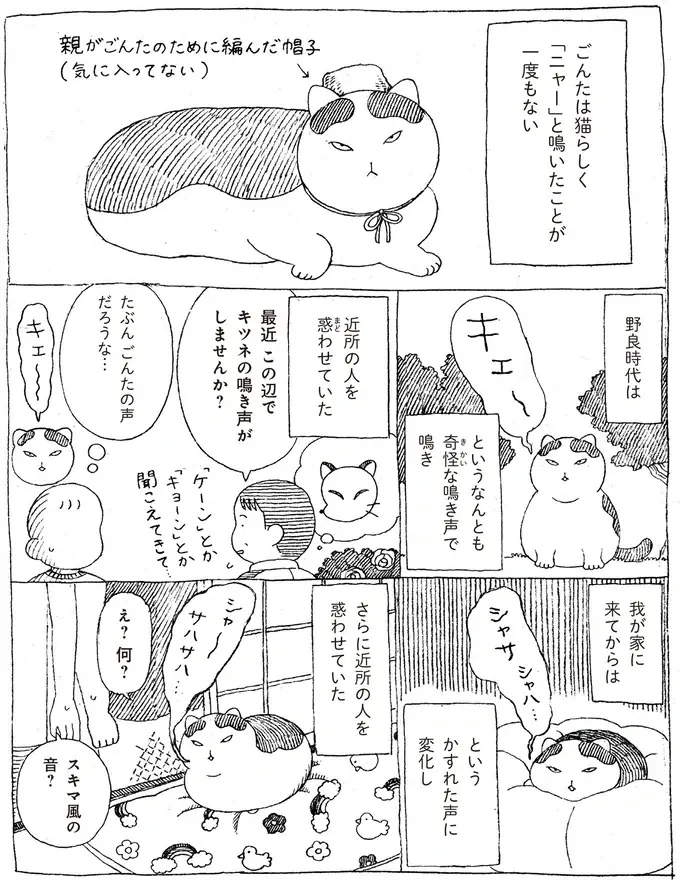 「ニャー」と鳴いたことがない愛猫。飼い主の心配を機に声変わりした結果...え!?／野良猫ごんた、家猫になる（3）