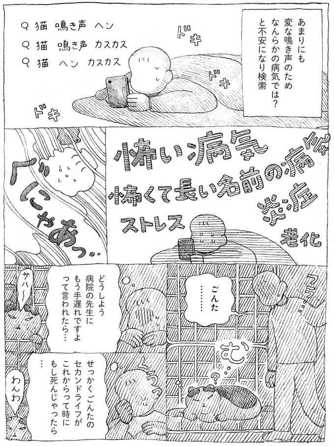 「ニャー」と鳴いたことがない愛猫。飼い主の心配を機に声変わりした結果...え!?／野良猫ごんた、家猫になる（4）