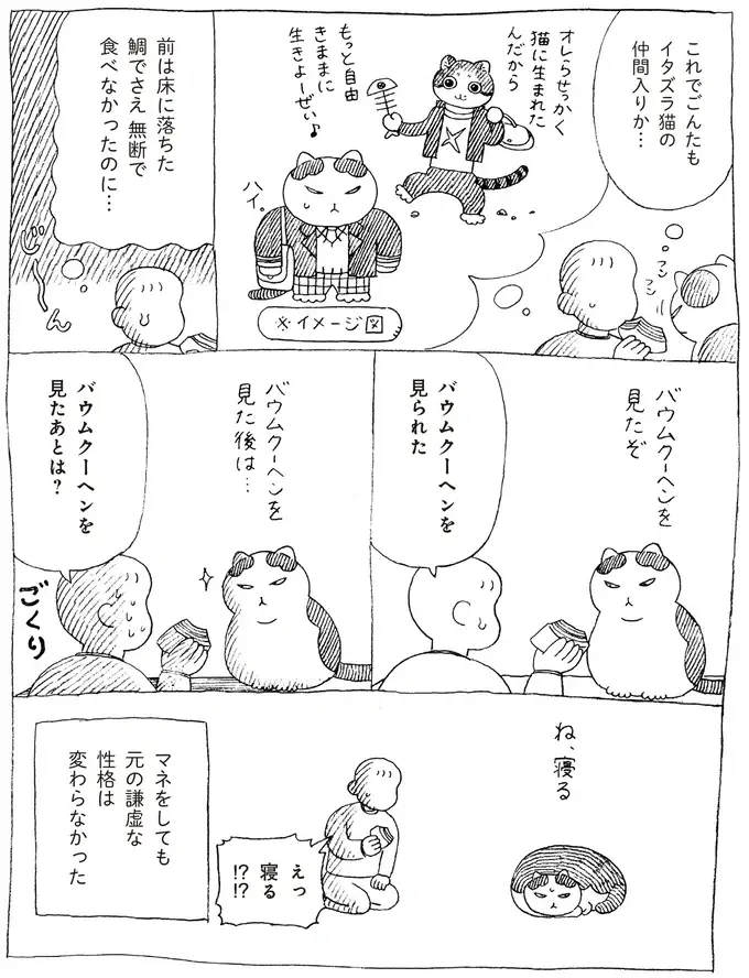 まねっこ好きな元野良猫。ヤンチャな先住猫の真似をしてみたら...!?／野良猫ごんた、家猫になる（6）