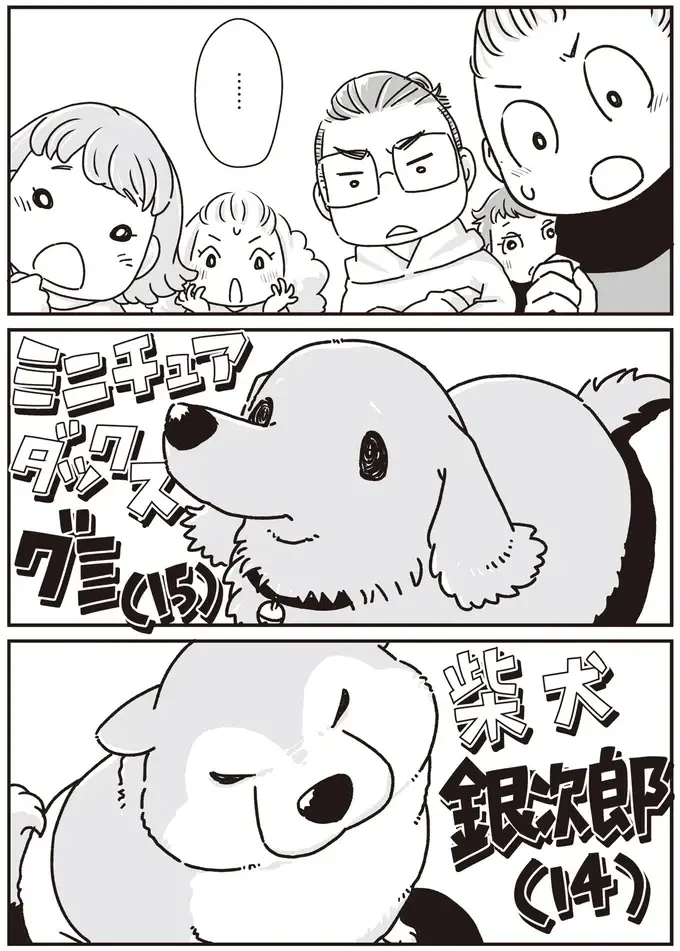 『何度でも言うね、大好きだよ 愛犬グミと銀次郎と過ごした日々』（2）