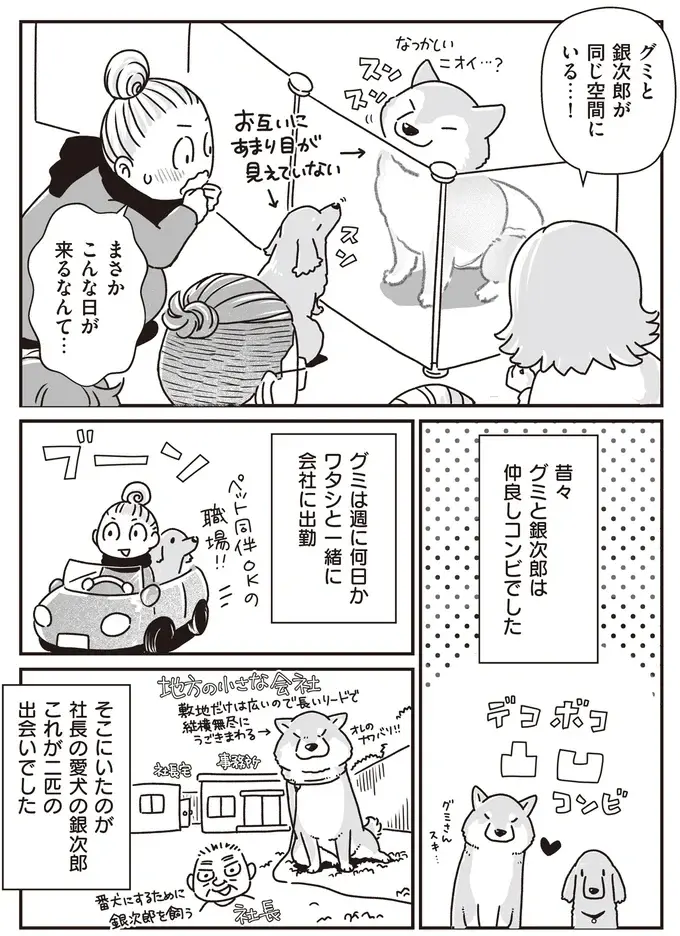 『何度でも言うね、大好きだよ 愛犬グミと銀次郎と過ごした日々』（3）