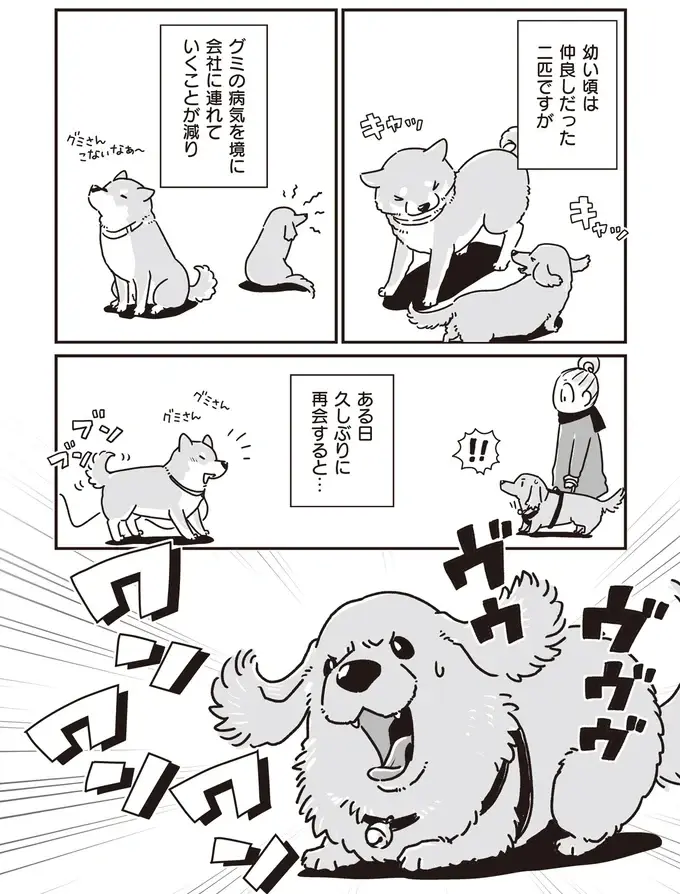 『何度でも言うね、大好きだよ 愛犬グミと銀次郎と過ごした日々』（4）