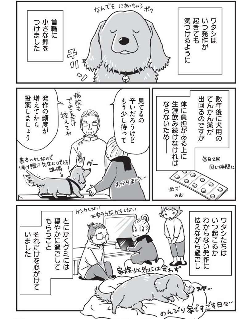 『何度でも言うね、大好きだよ 愛犬グミと銀次郎と過ごした日々』（7）