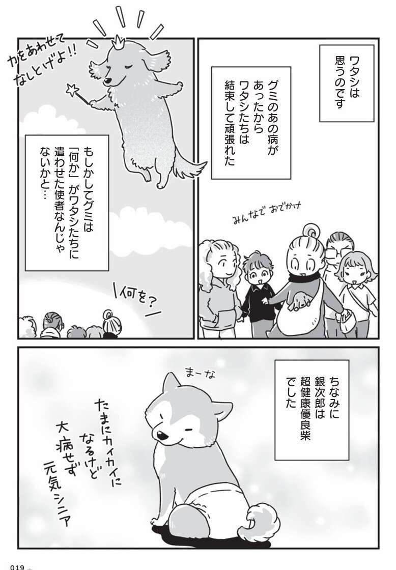 『何度でも言うね、大好きだよ 愛犬グミと銀次郎と過ごした日々』（9）