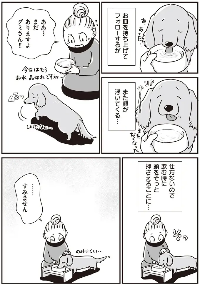 『何度でも言うね、大好きだよ 愛犬グミと銀次郎と過ごした日々』（19）