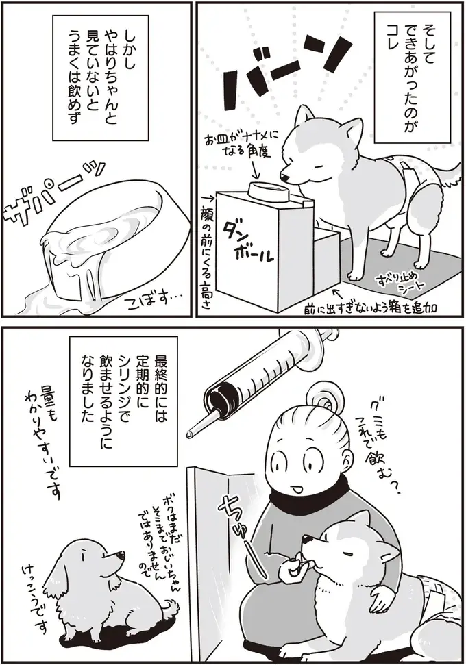 『何度でも言うね、大好きだよ 愛犬グミと銀次郎と過ごした日々』（21）