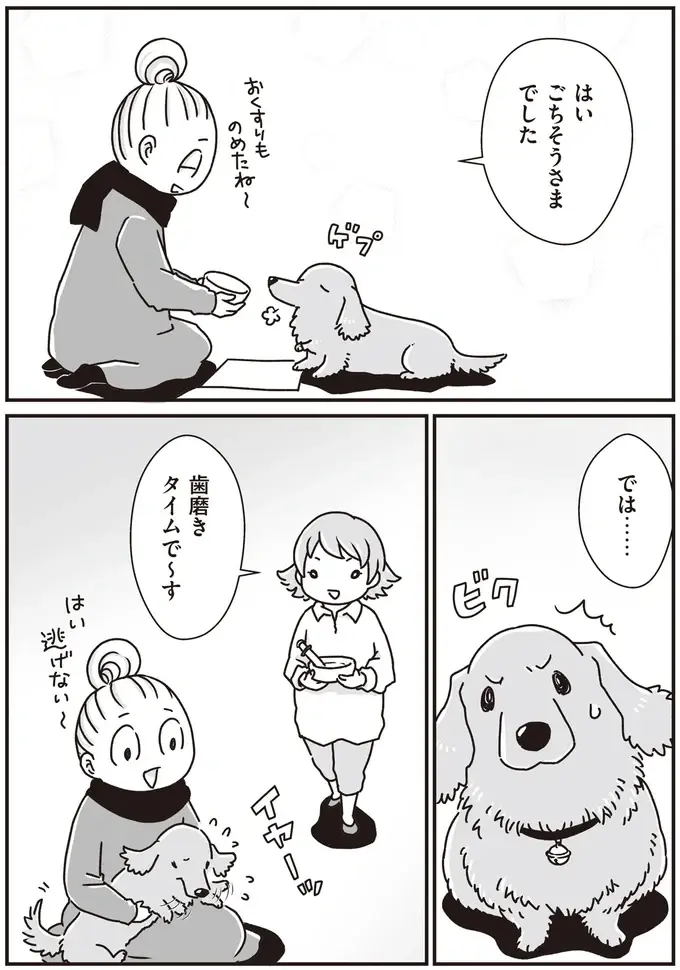 『何度でも言うね、大好きだよ 愛犬グミと銀次郎と過ごした日々』（22）