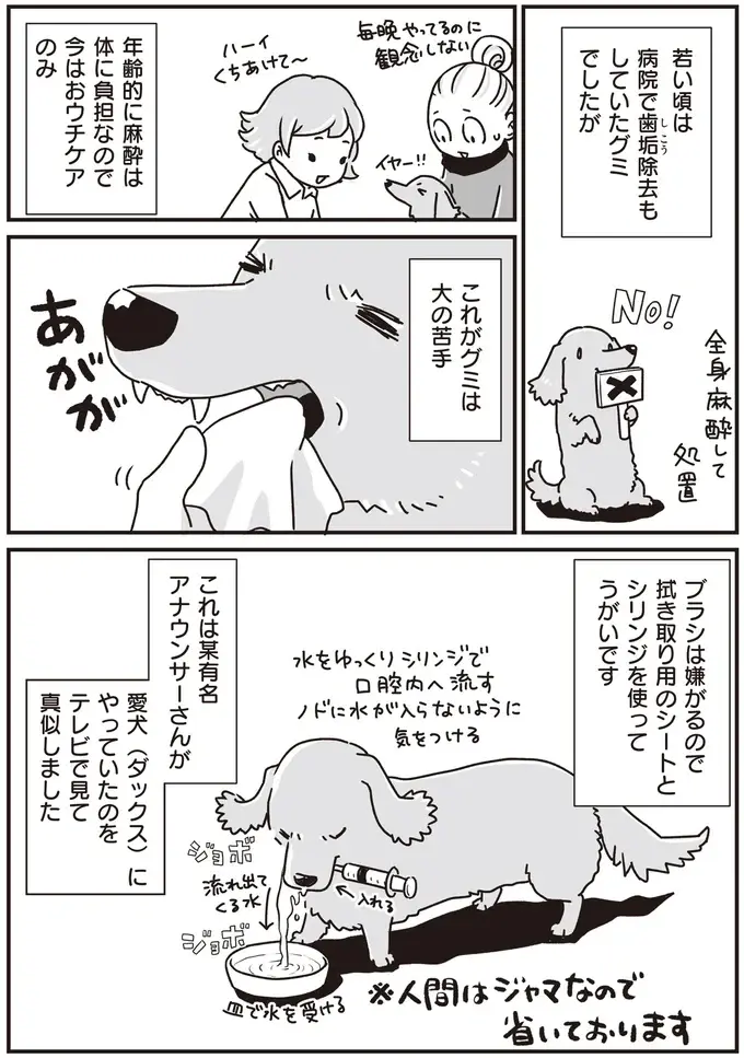 『何度でも言うね、大好きだよ 愛犬グミと銀次郎と過ごした日々』（23）