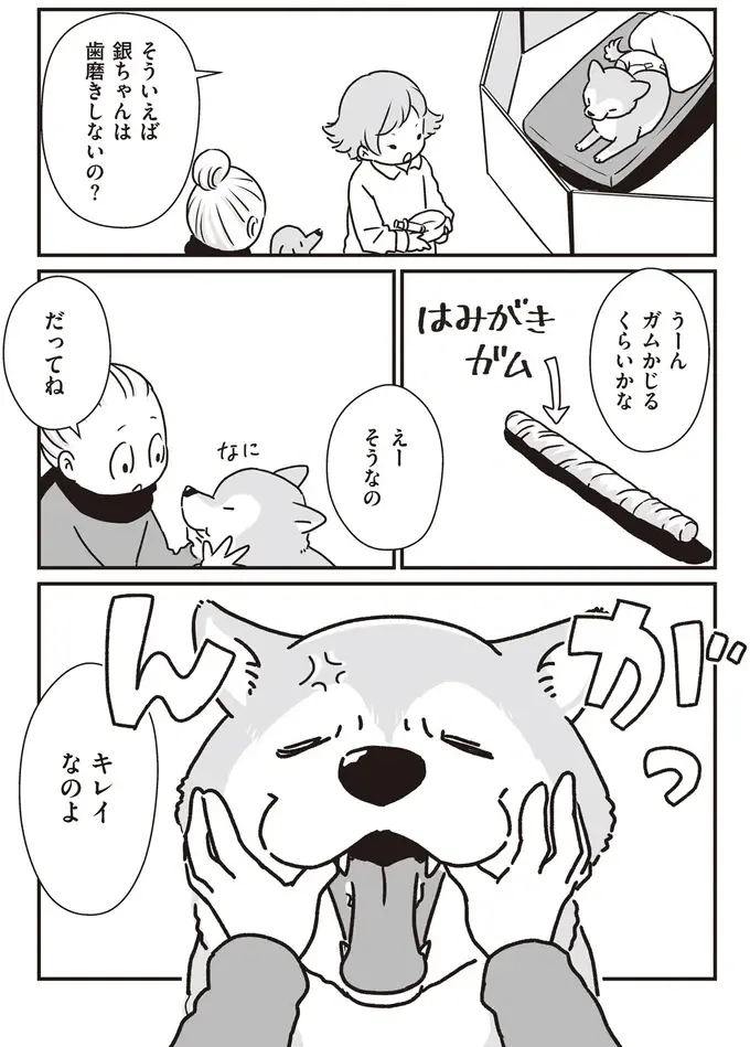『何度でも言うね、大好きだよ 愛犬グミと銀次郎と過ごした日々』（24）