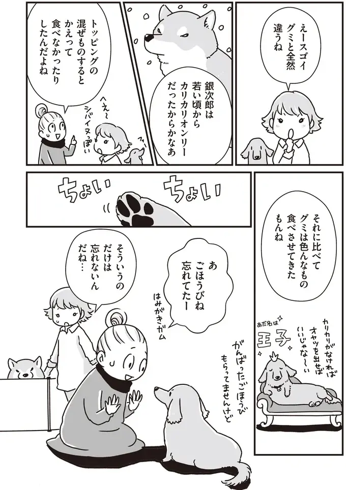 『何度でも言うね、大好きだよ 愛犬グミと銀次郎と過ごした日々』（25）