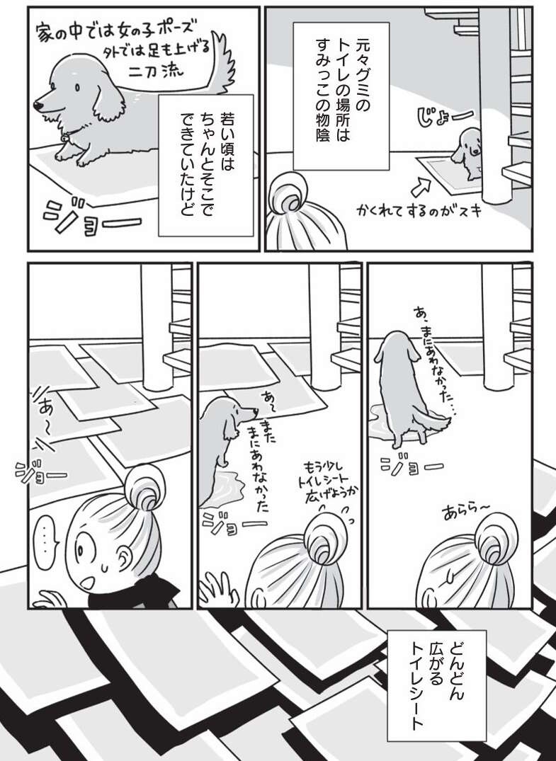 『何度でも言うね、大好きだよ 愛犬グミと銀次郎と過ごした日々』（26）