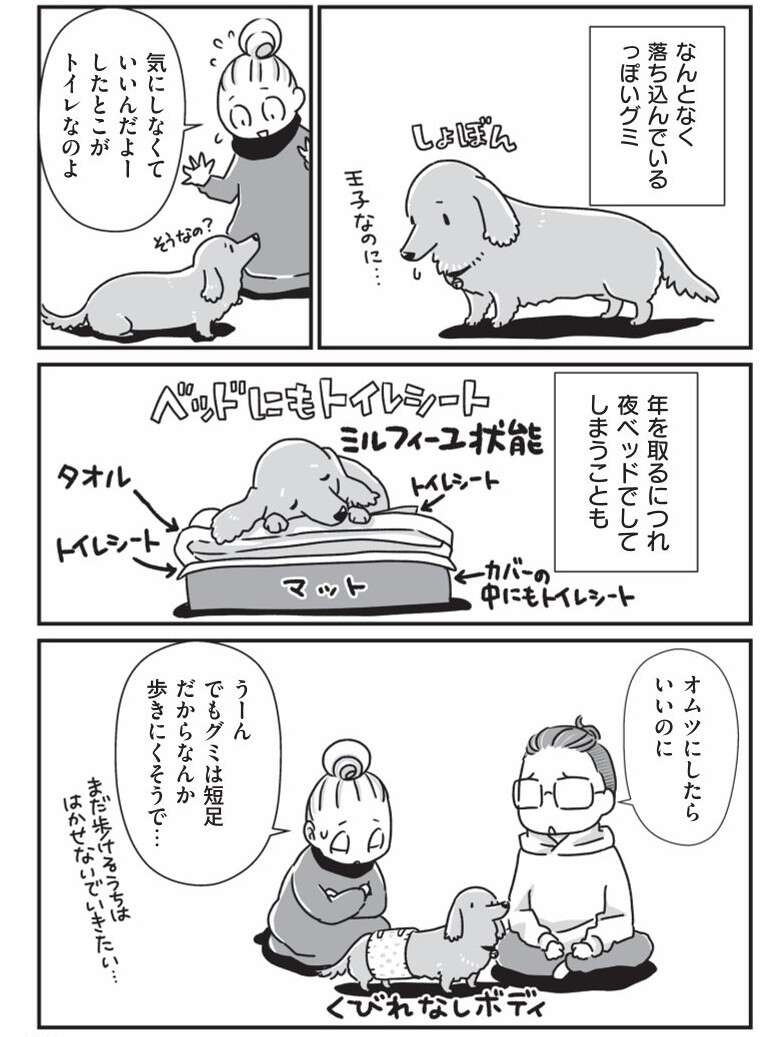『何度でも言うね、大好きだよ 愛犬グミと銀次郎と過ごした日々』（27）