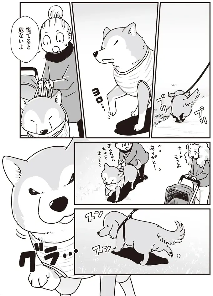 『何度でも言うね、大好きだよ 愛犬グミと銀次郎と過ごした日々』（32）