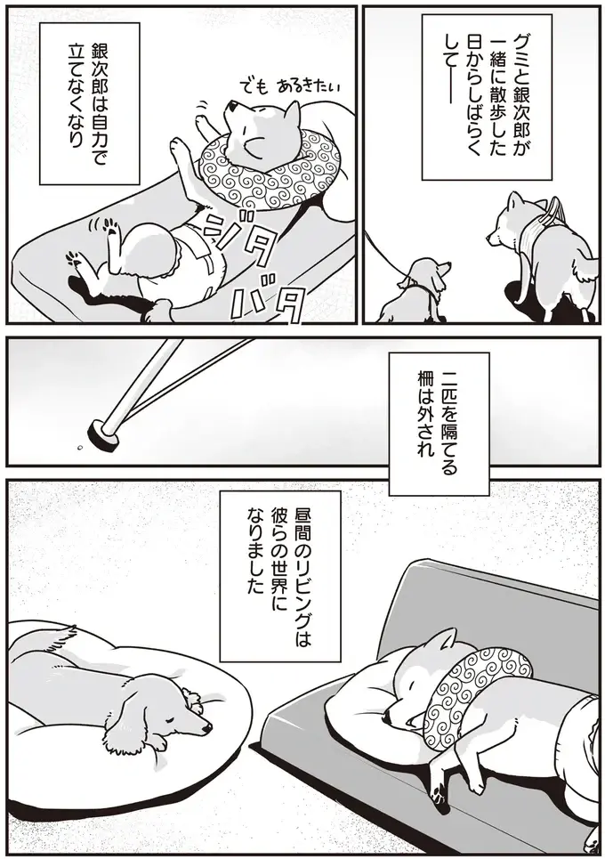 『何度でも言うね、大好きだよ 愛犬グミと銀次郎と過ごした日々』（38）