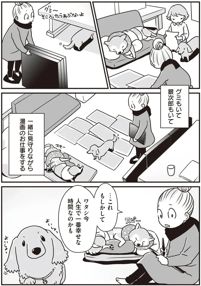 『何度でも言うね、大好きだよ 愛犬グミと銀次郎と過ごした日々』（39）