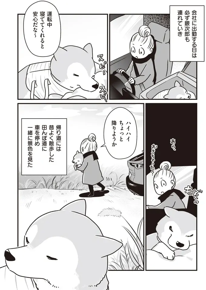 『何度でも言うね、大好きだよ 愛犬グミと銀次郎と過ごした日々』（40）