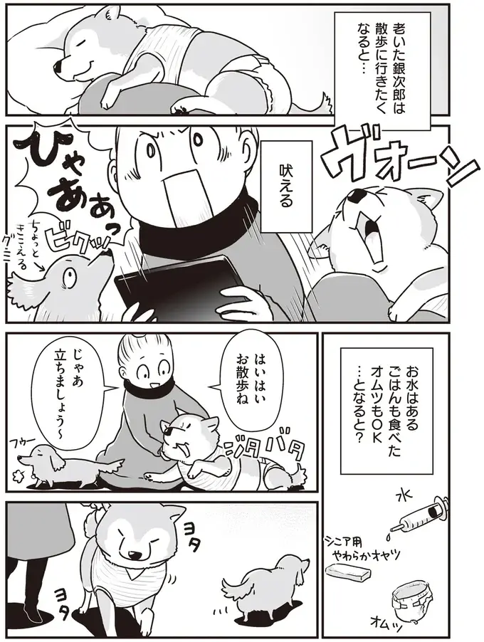 『何度でも言うね、大好きだよ 愛犬グミと銀次郎と過ごした日々』（42）