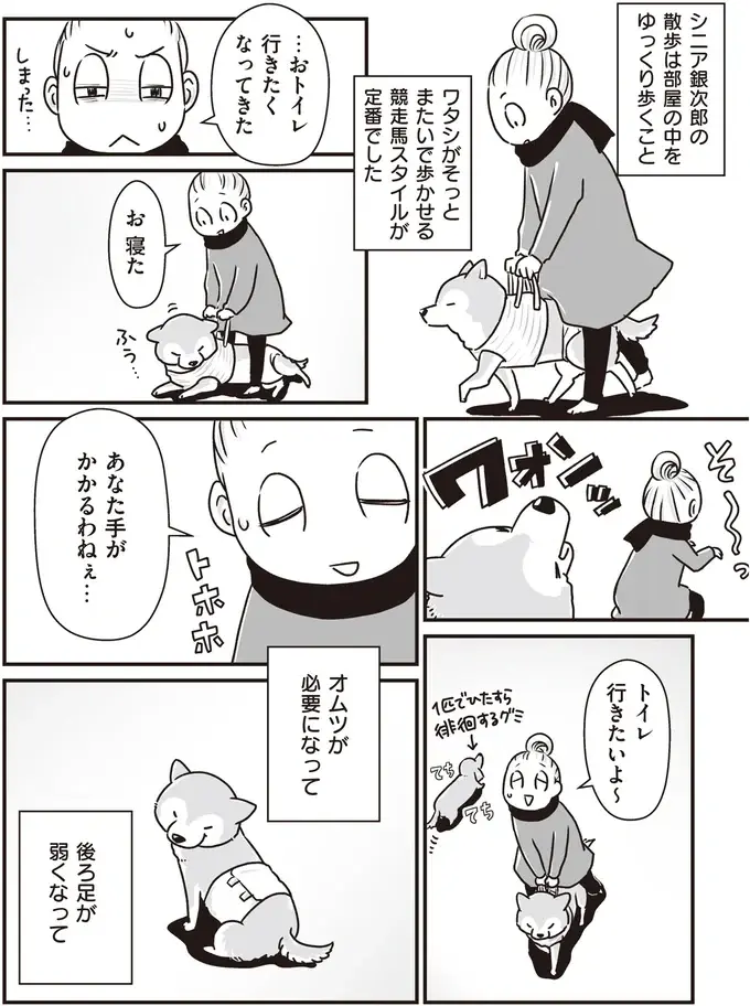 『何度でも言うね、大好きだよ 愛犬グミと銀次郎と過ごした日々』（43）