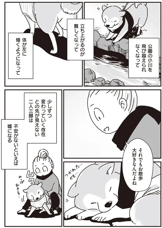 『何度でも言うね、大好きだよ 愛犬グミと銀次郎と過ごした日々』（44）