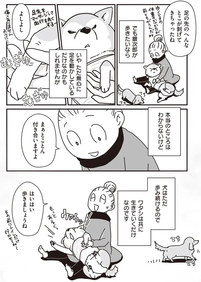 『何度でも言うね、大好きだよ 愛犬グミと銀次郎と過ごした日々』（45）