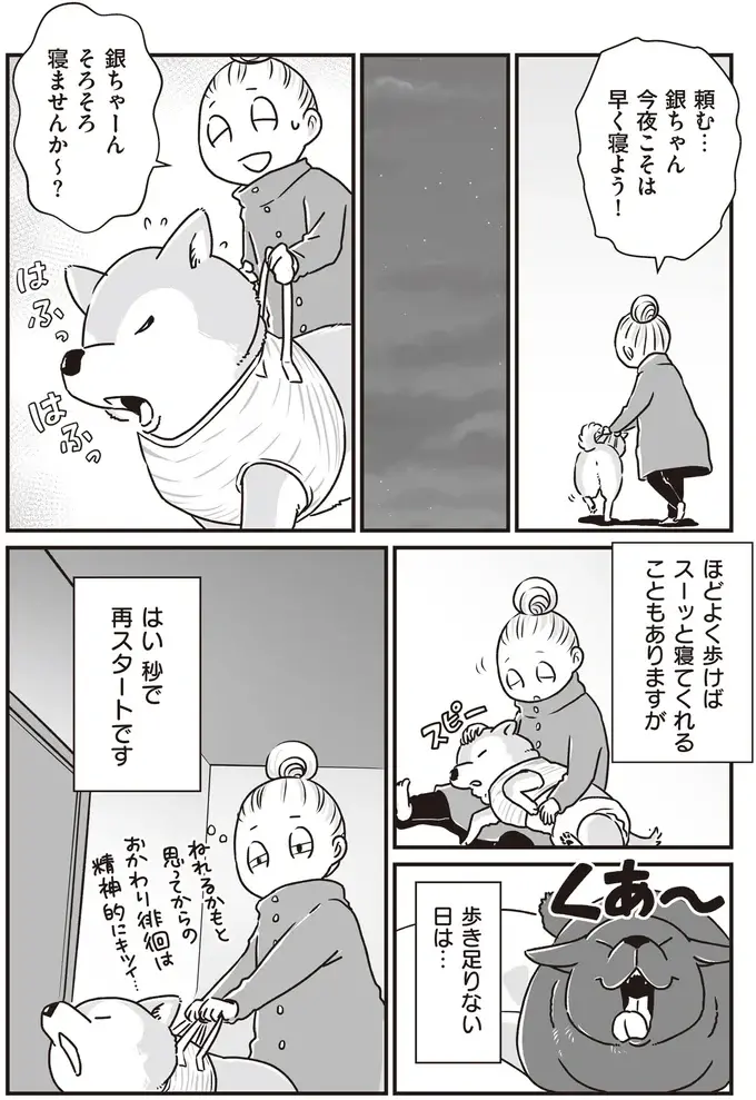 『何度でも言うね、大好きだよ 愛犬グミと銀次郎と過ごした日々』（47）
