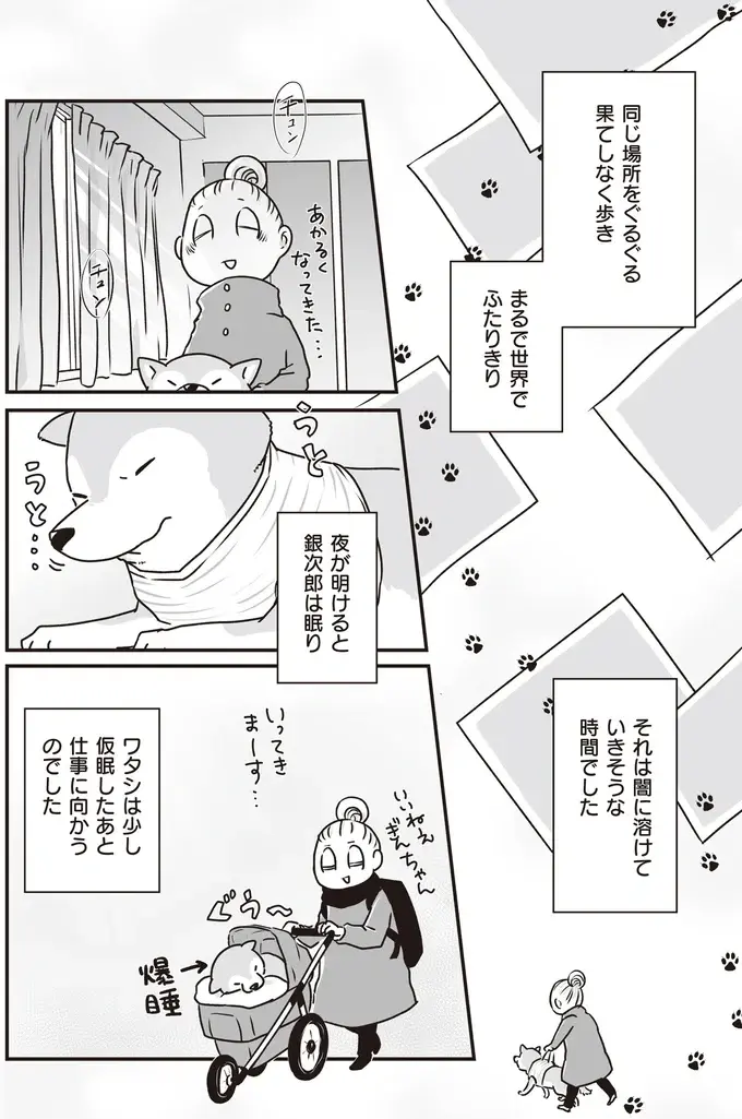 『何度でも言うね、大好きだよ 愛犬グミと銀次郎と過ごした日々』（49）