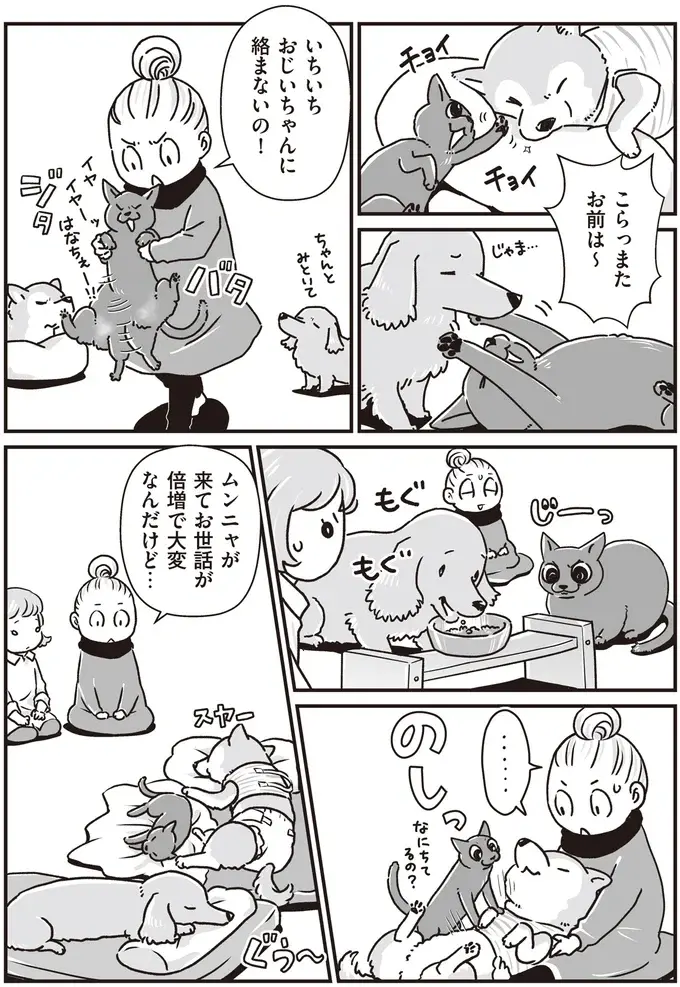 『何度でも言うね、大好きだよ 愛犬グミと銀次郎と過ごした日々』（52）